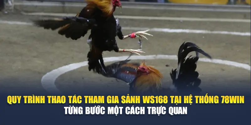 Quy trình thao tác tham gia sảnh đá gà WS168 tại hệ thống 789WIN từng bước một cách trực quan